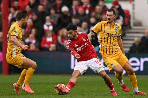 迷与分析师 迷与分析师